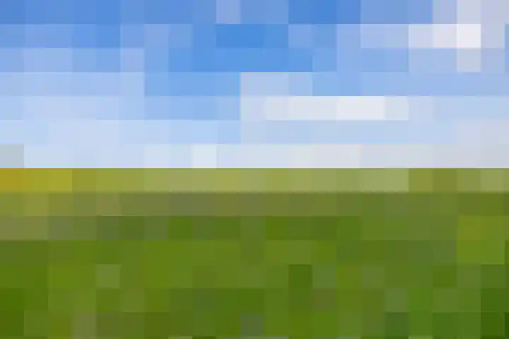 Zijlvestweg 2 Schouwerzijl thumbnail 60