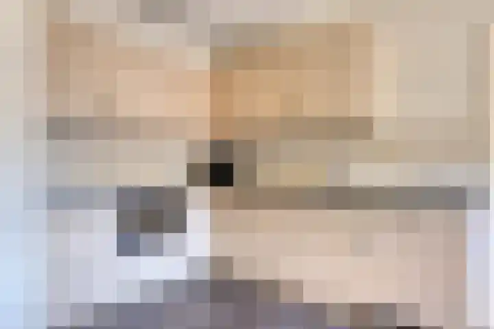 Zijlweg 11 Welsum thumbnail 16