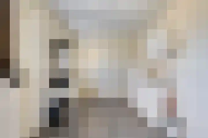 Zijlweg 11 Welsum thumbnail 18