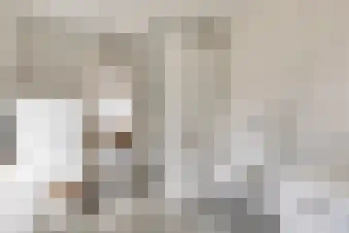 Zijlweg 11 Welsum thumbnail 22