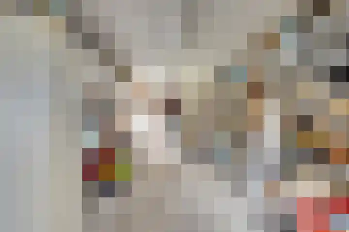 Zijlweg 11 Welsum thumbnail 23