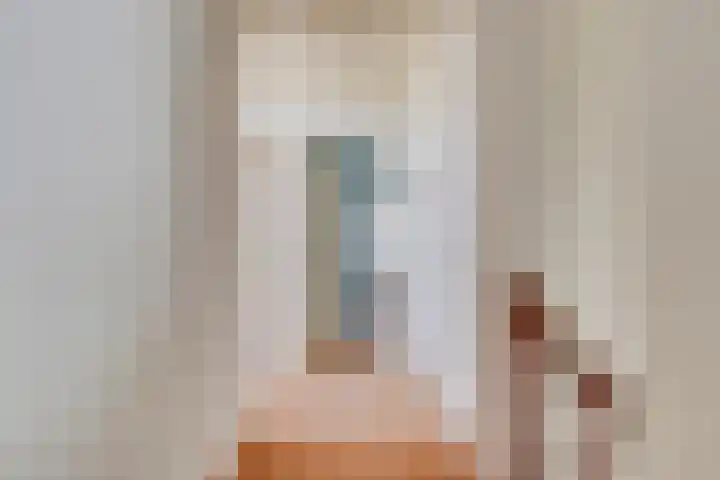 Zijlweg 11 Welsum thumbnail 26
