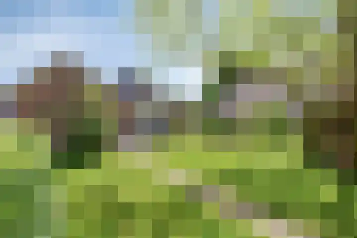 Zijlweg 11 Welsum thumbnail 32