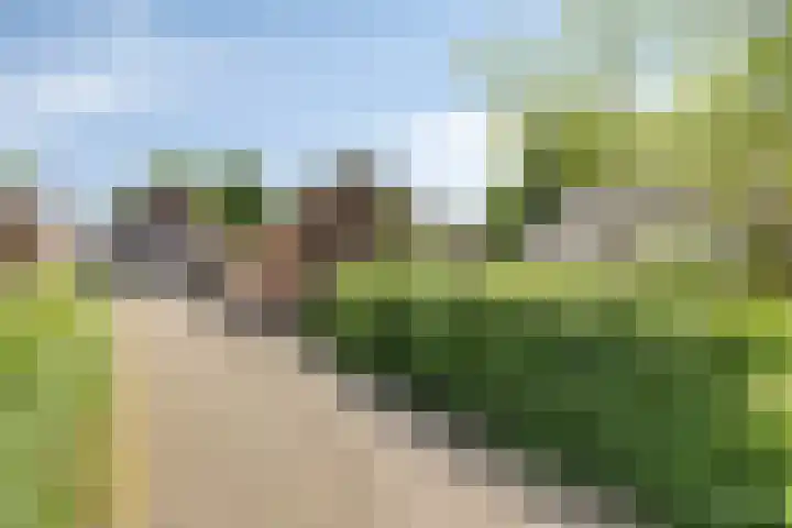 Zijlweg 11 Welsum thumbnail 33