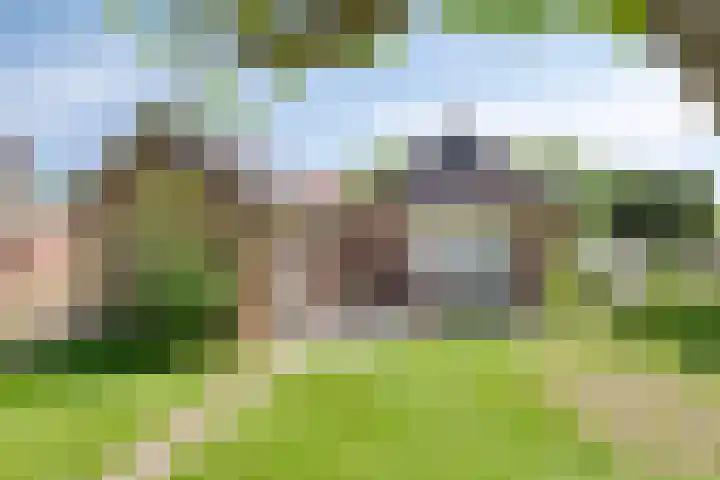 Zijlweg 11 Welsum thumbnail 34