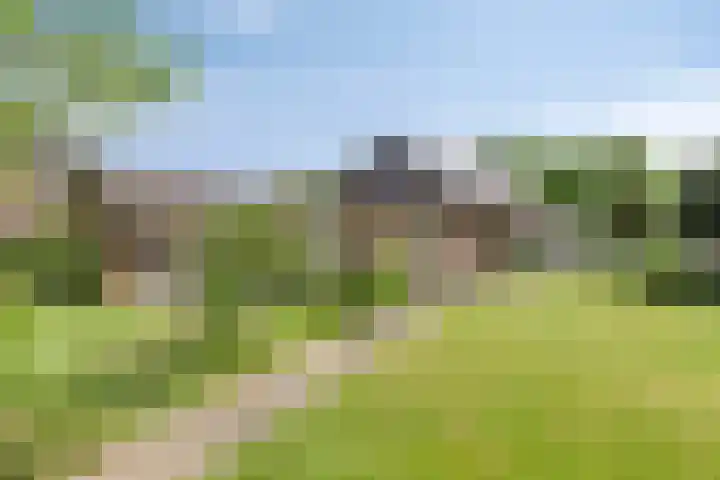 Zijlweg 11 Welsum thumbnail 36