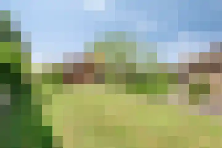 Zijlweg 11 Welsum thumbnail 37