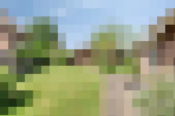 Zijlweg 11 Welsum thumbnail 39