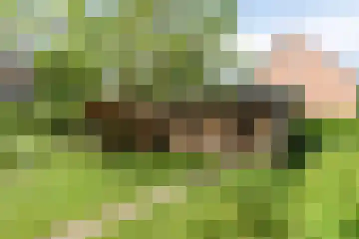 Zijlweg 11 Welsum thumbnail 4