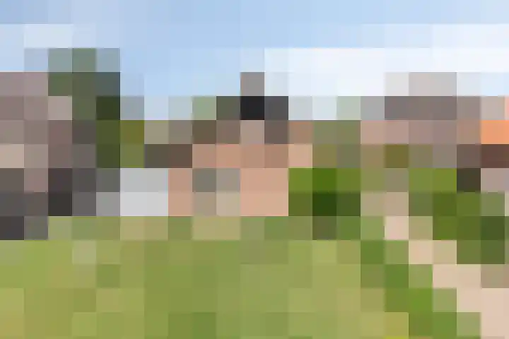 Zijlweg 11 Welsum thumbnail 41