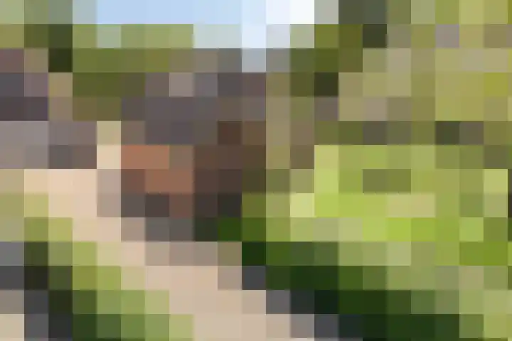 Zijlweg 11 Welsum thumbnail 42