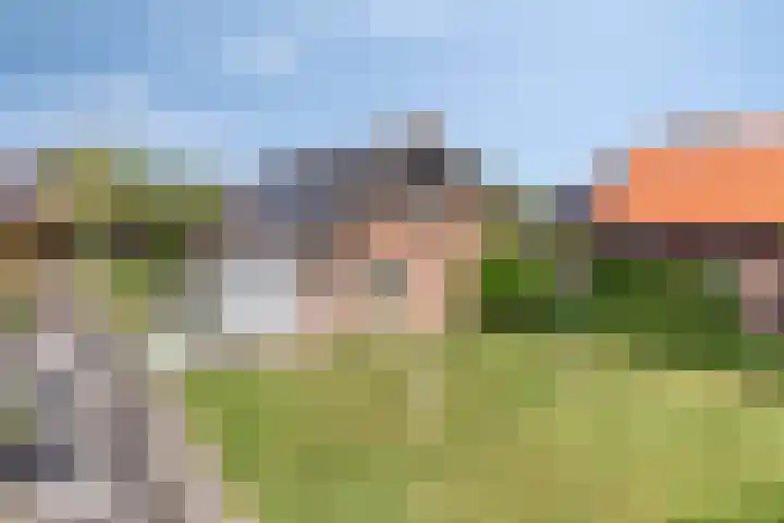 Zijlweg 11 Welsum thumbnail 50