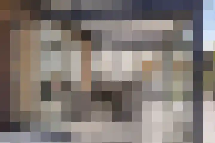 Zijlweg 11 Welsum thumbnail 8