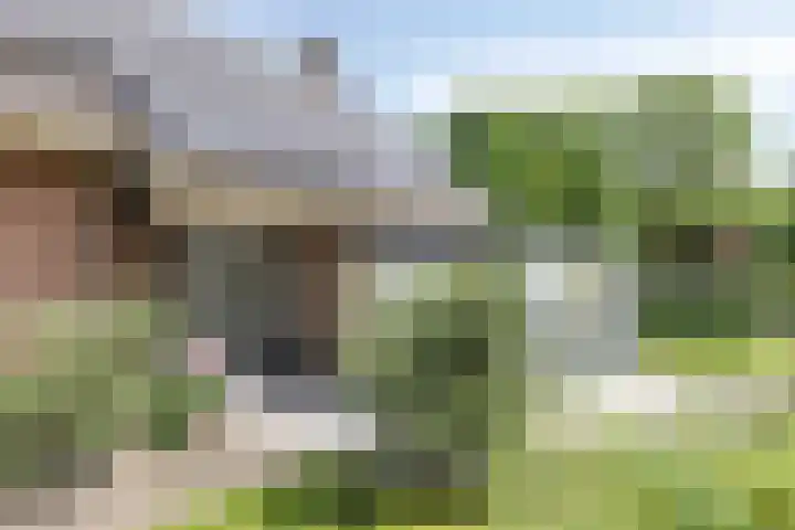 Zijlweg 11 Welsum thumbnail 9