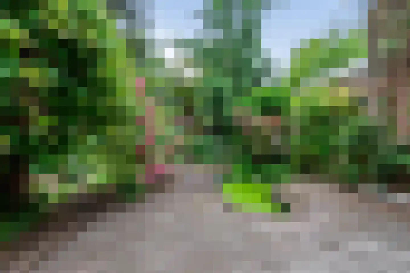 Zijlweg 114 Haarlem thumbnail 14