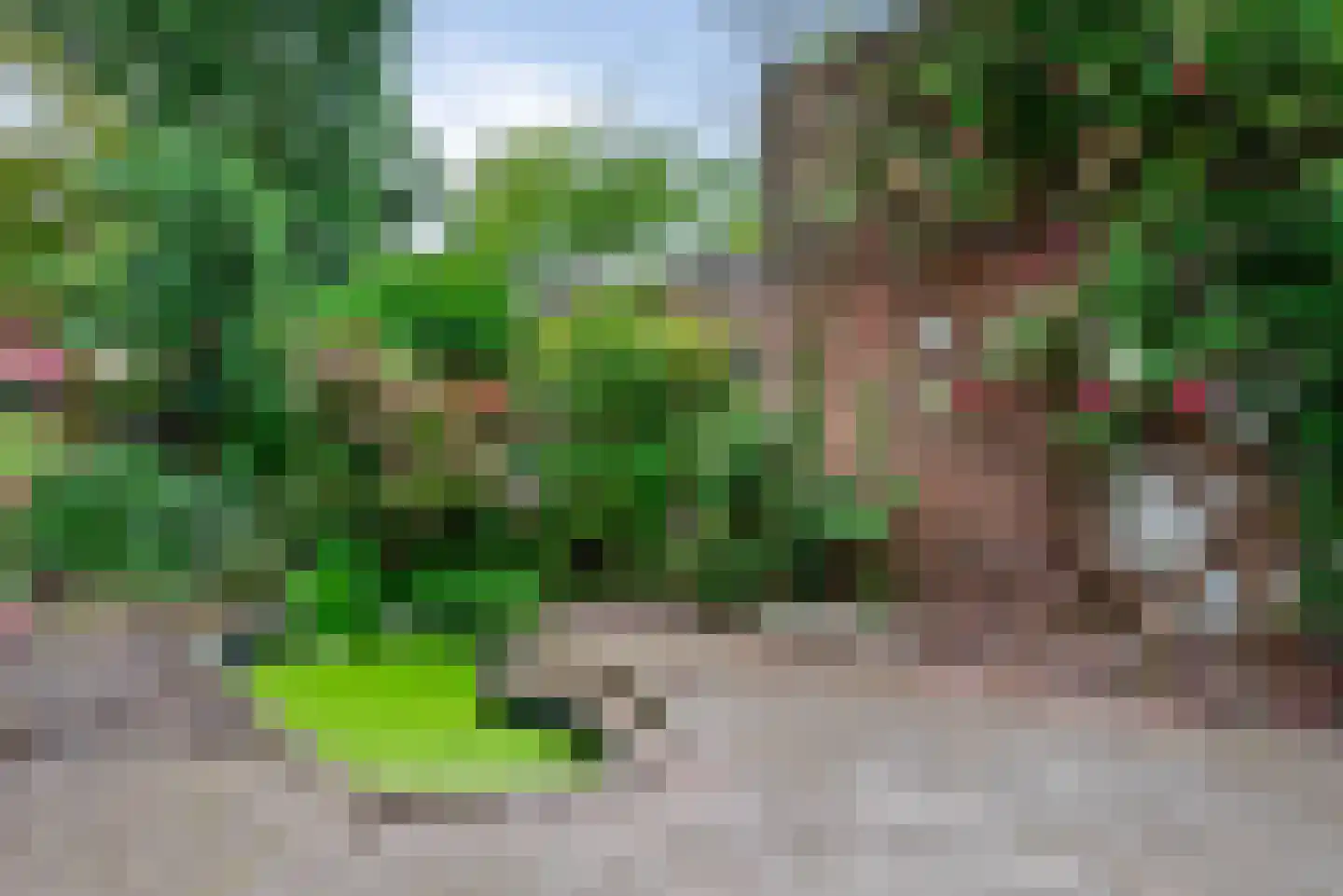 Zijlweg 114 Haarlem thumbnail 16