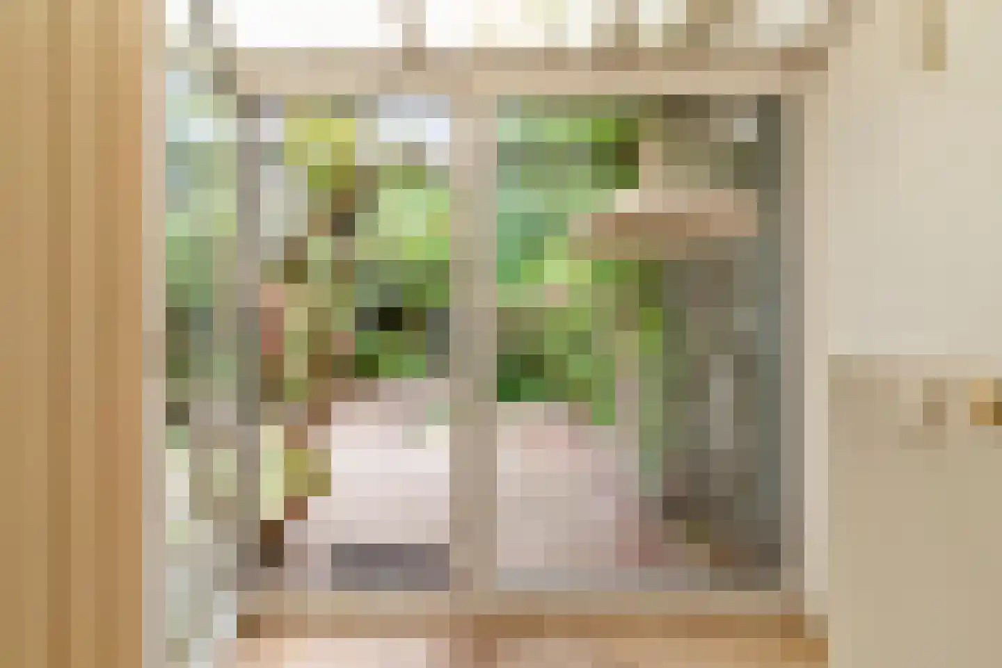 Zijlweg 114 Haarlem thumbnail 22