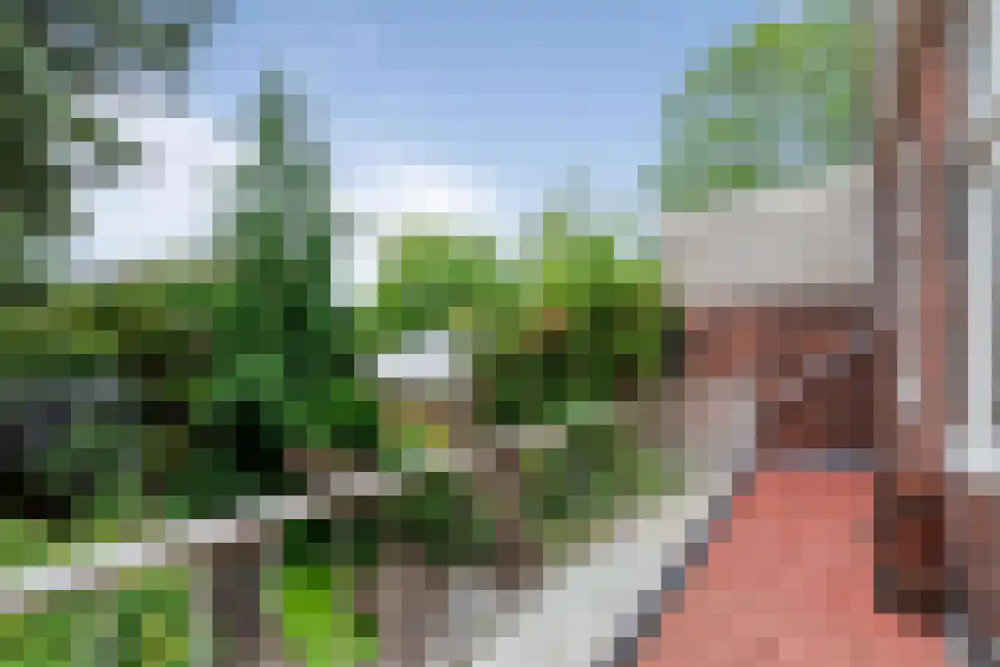 Zijlweg 114 Haarlem thumbnail 38