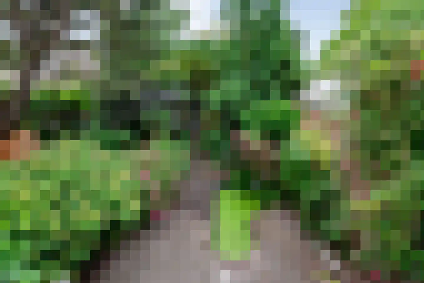 Zijlweg 114 Haarlem thumbnail 40