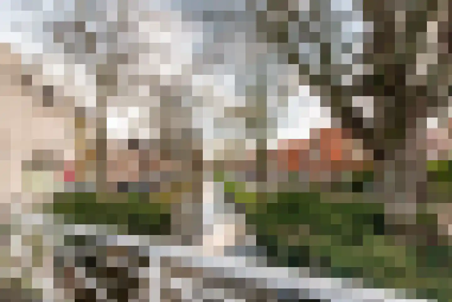 Zijlweg 115 C Haarlem thumbnail 18