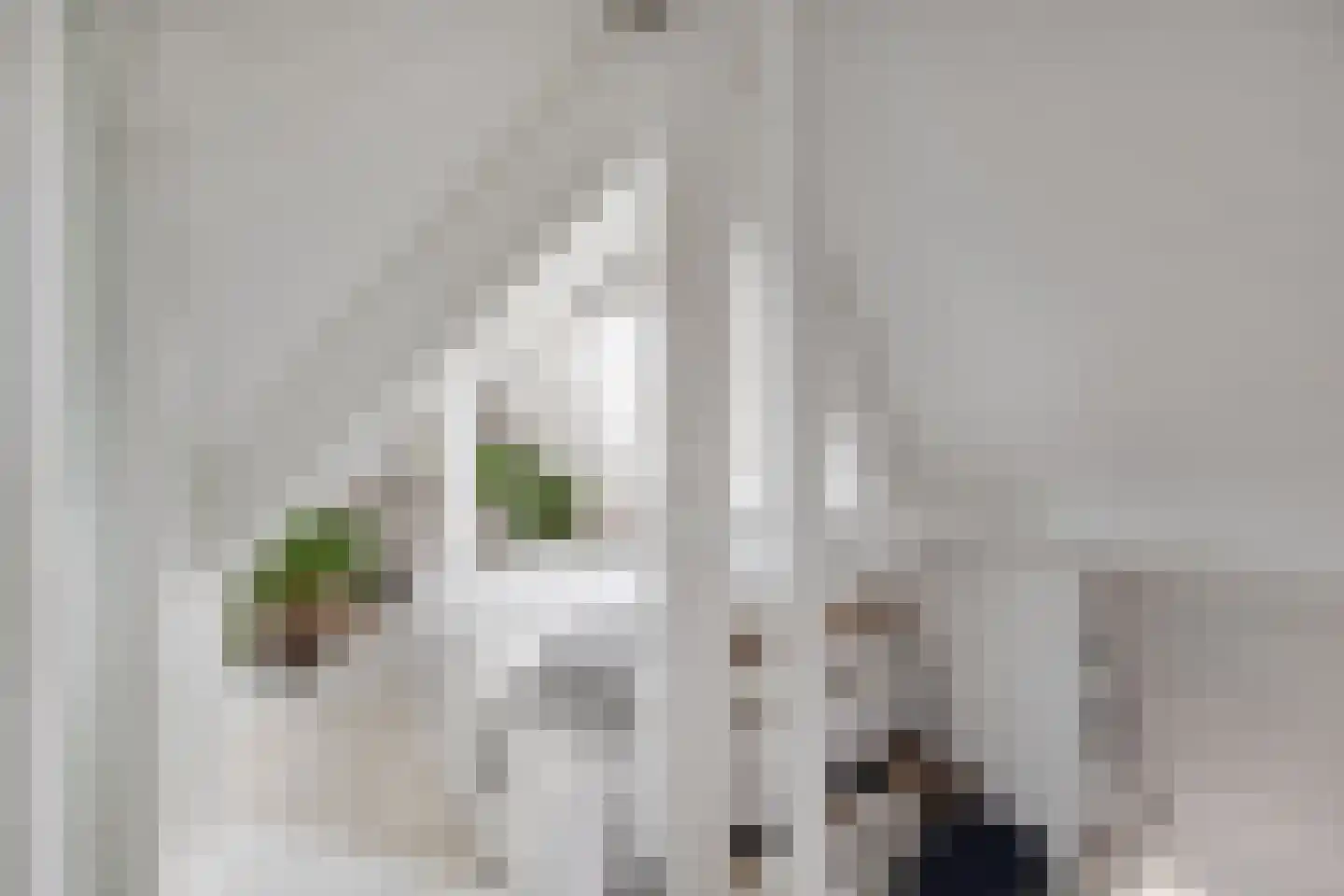 Zijlweg 115 E Haarlem thumbnail 13
