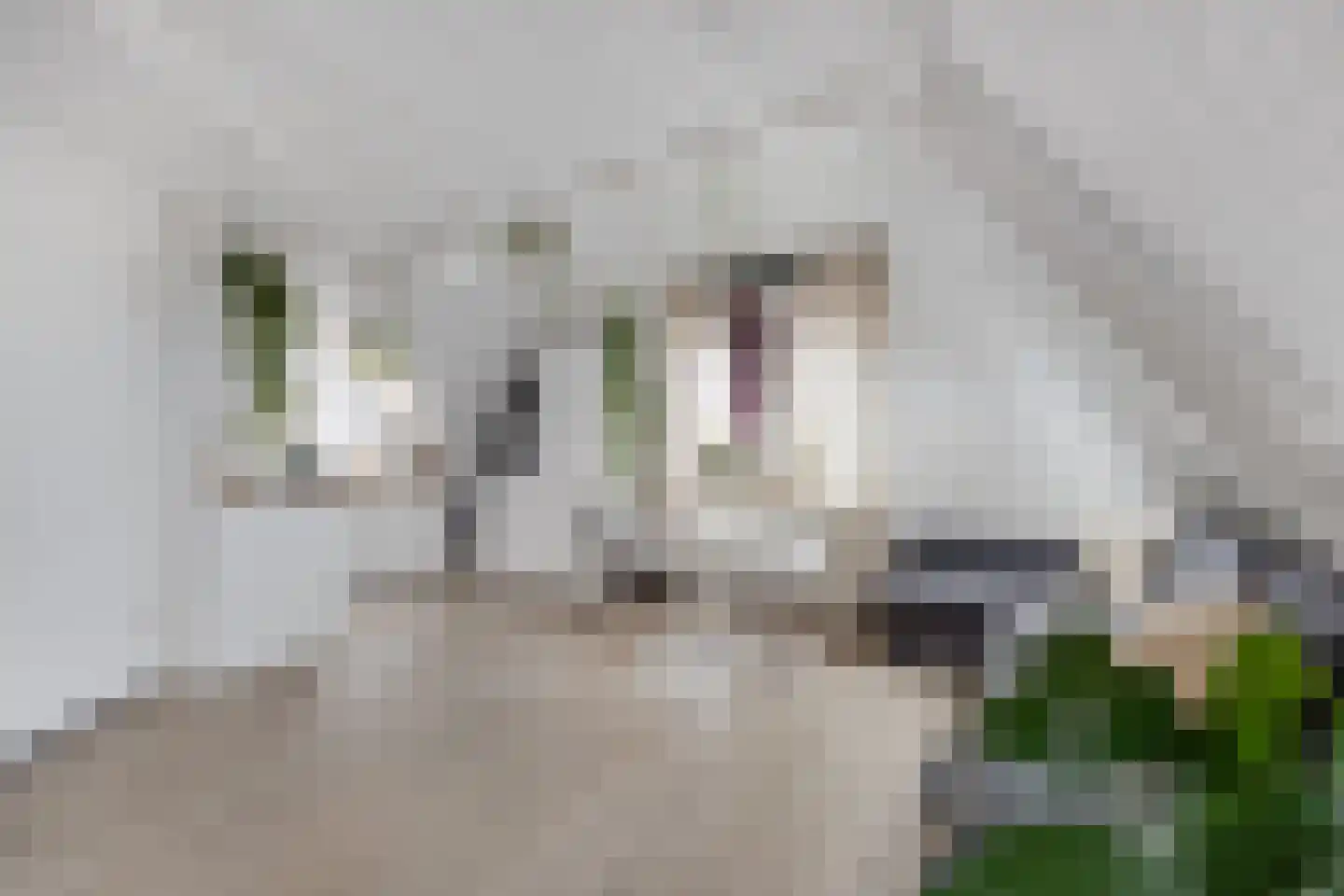 Zijlweg 115 E Haarlem thumbnail 5