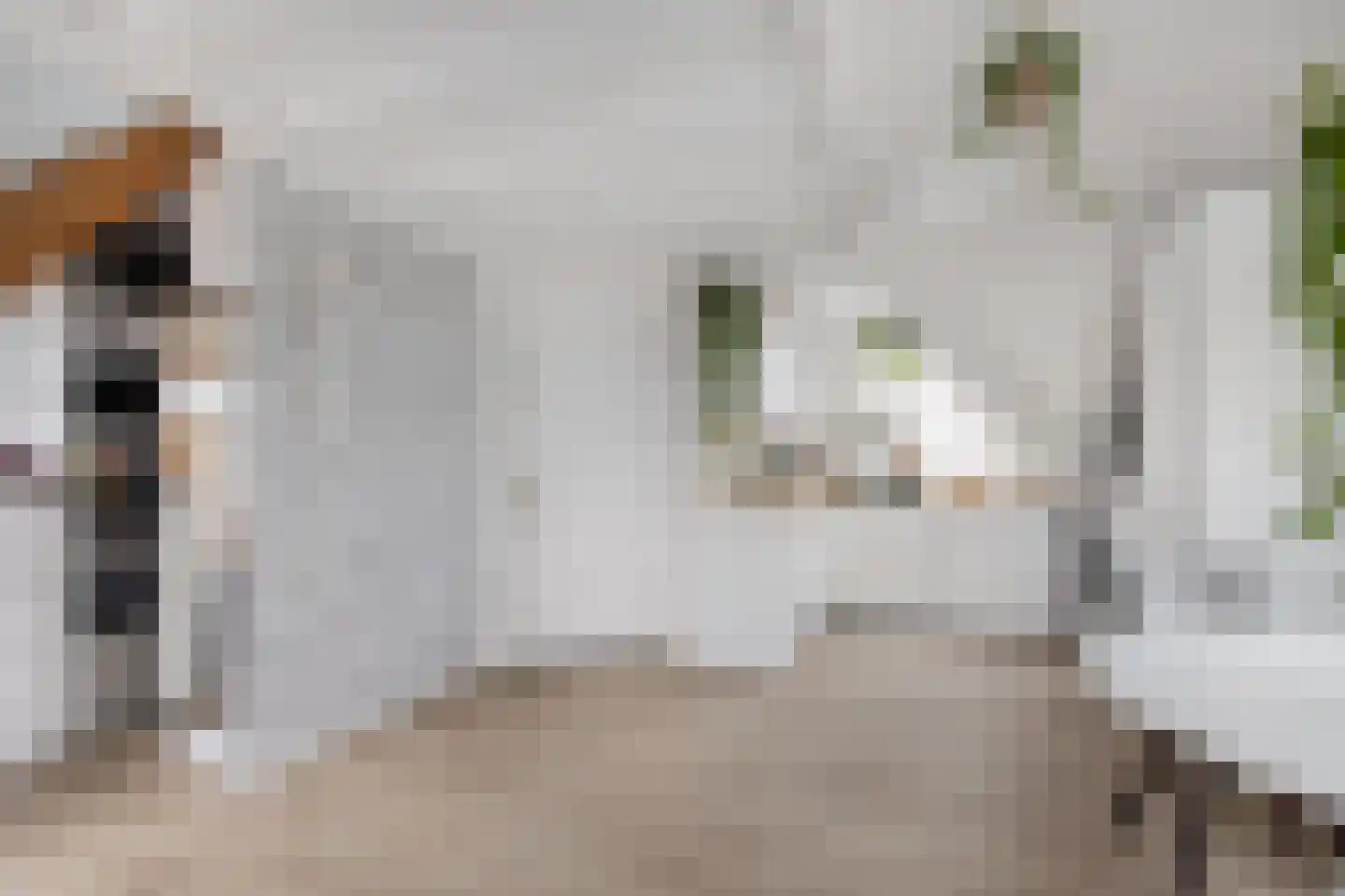 Zijlweg 115 E Haarlem thumbnail 8