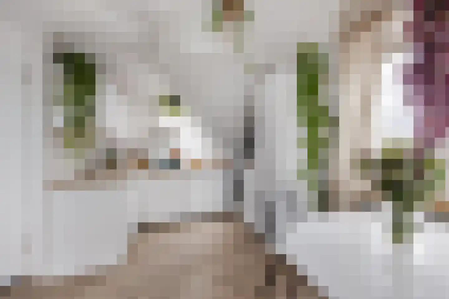 Zijlweg 115 E Haarlem thumbnail 9