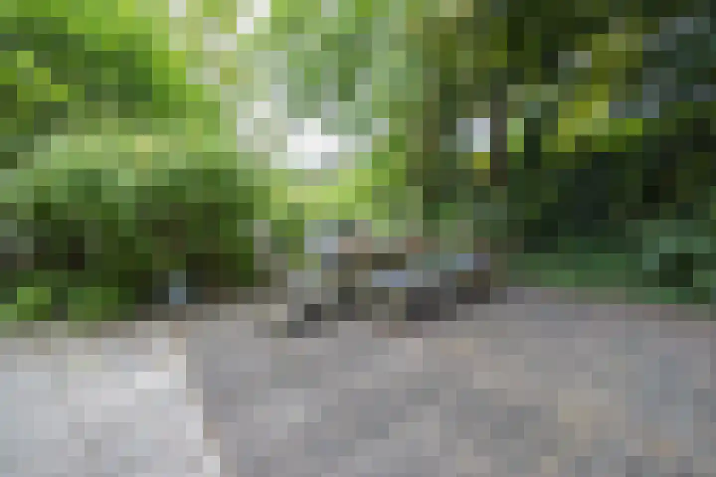 Zijlweg 116 Haarlem thumbnail 15