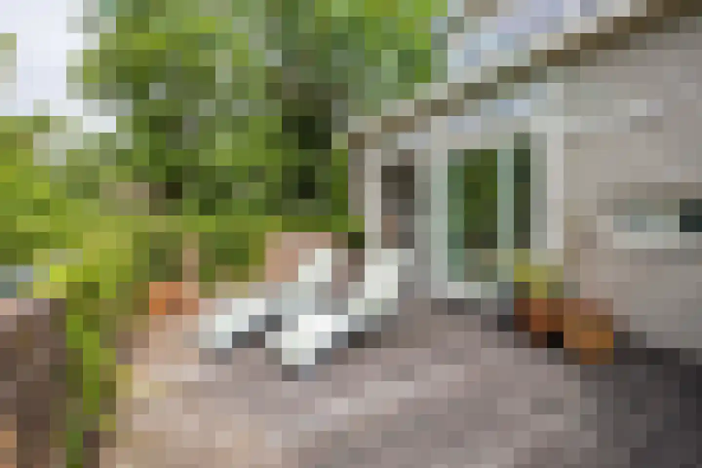 Zijlweg 116 Haarlem thumbnail 26