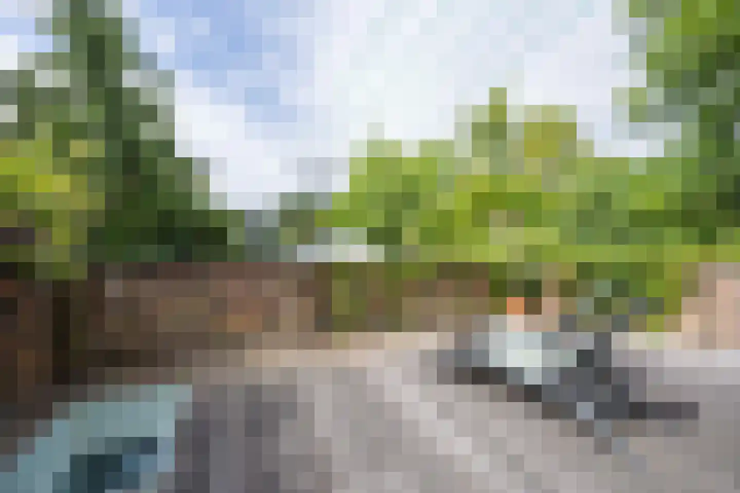 Zijlweg 116 Haarlem thumbnail 27