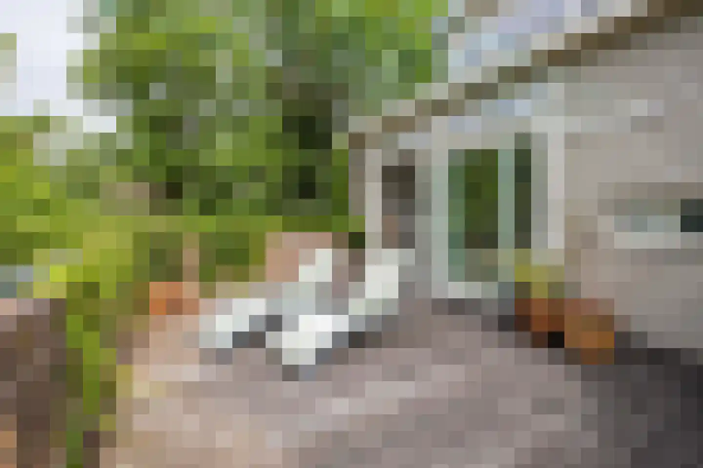 Zijlweg 116 Haarlem thumbnail 27