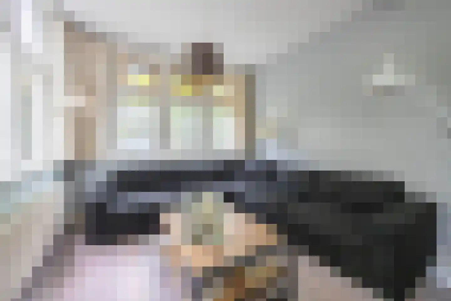 Zijlweg 116 Haarlem thumbnail 6