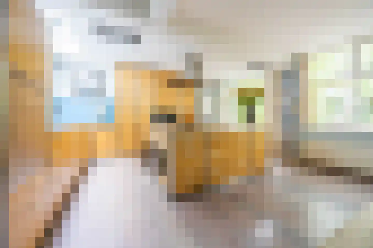 Zijlweg 116 Haarlem thumbnail 9