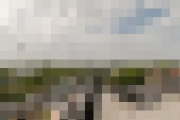 Zijlweg 148 C 409 Haarlem thumbnail 17