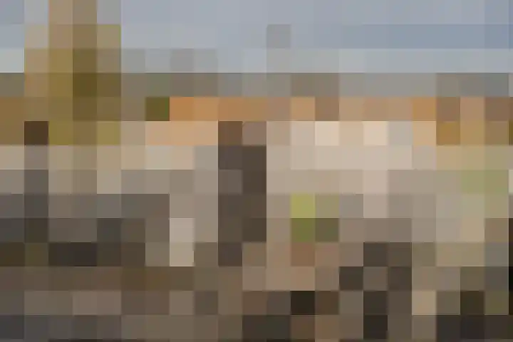 Zijlweg 159 C Haarlem thumbnail 34