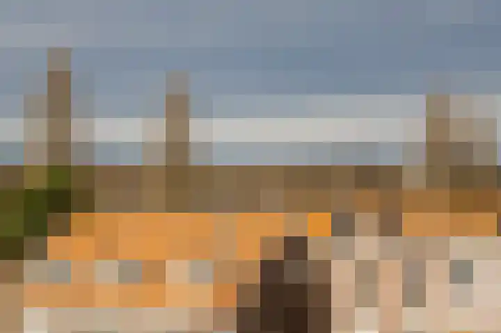 Zijlweg 159 C Haarlem thumbnail 35