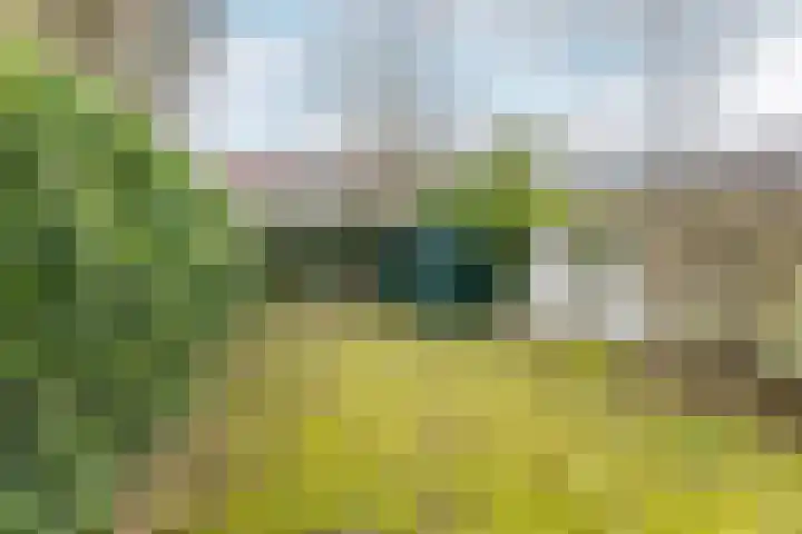 Zijlweg 165 Haarlem thumbnail 31
