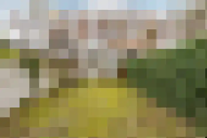 Zijlweg 165 Haarlem thumbnail 32