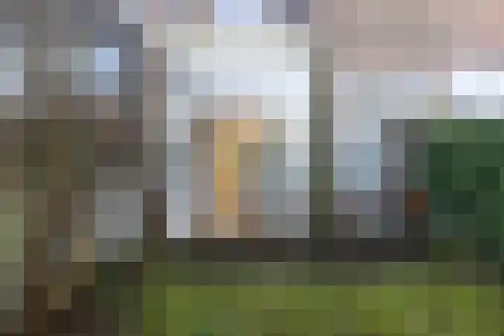 Zijlweg 165 Haarlem thumbnail 33