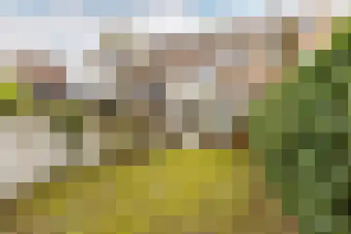 Zijlweg 165 Haarlem thumbnail 34