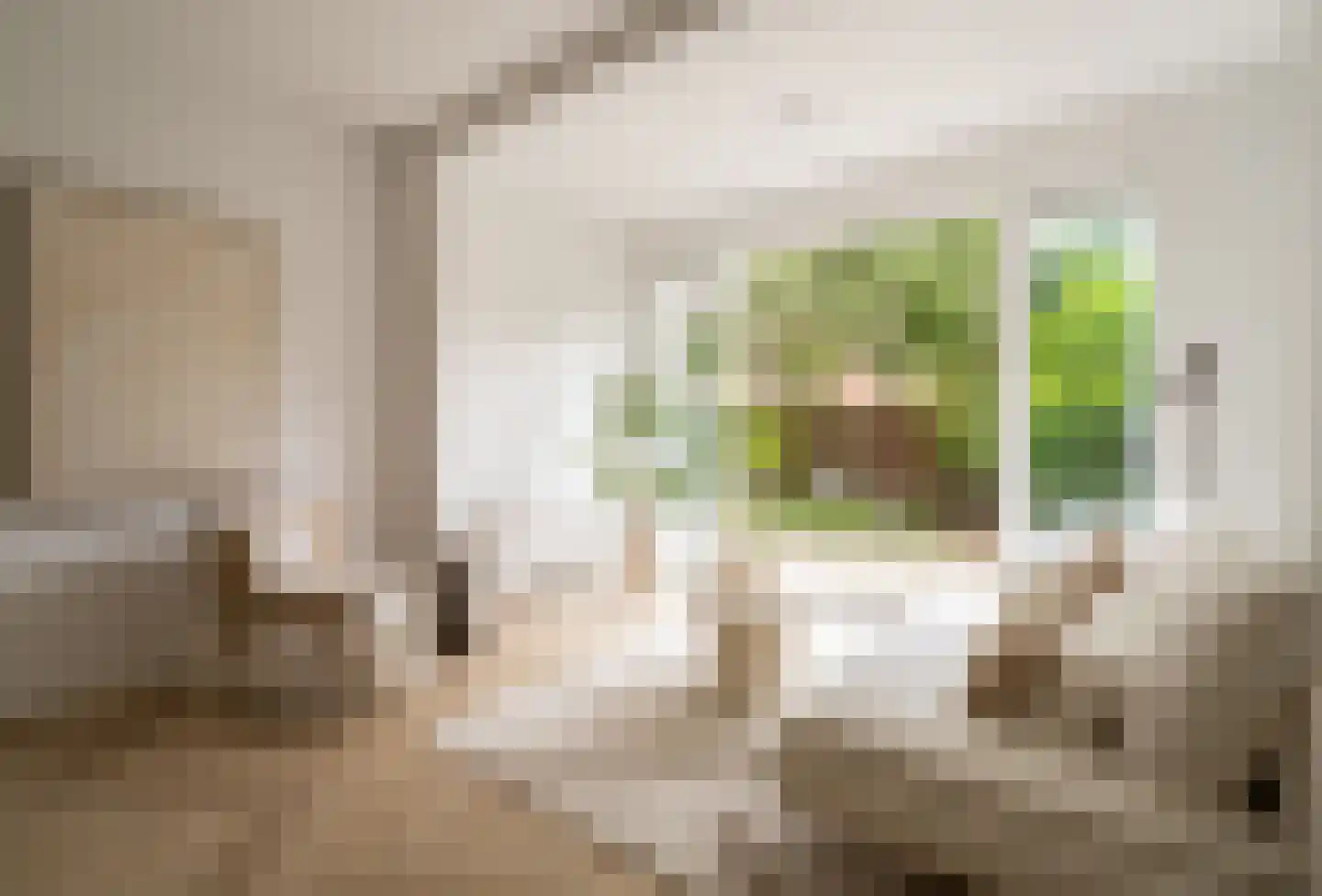 Zijlweg 18 Haarlem thumbnail 13