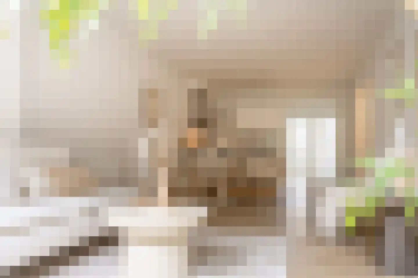 Zijlweg 18 Haarlem thumbnail 19