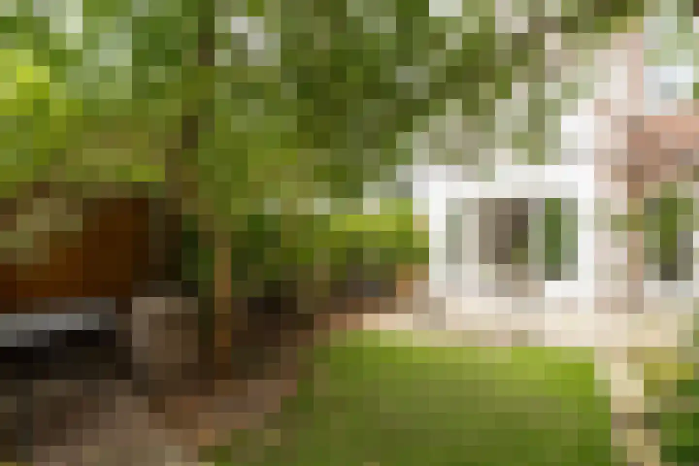 Zijlweg 18 Haarlem thumbnail 24