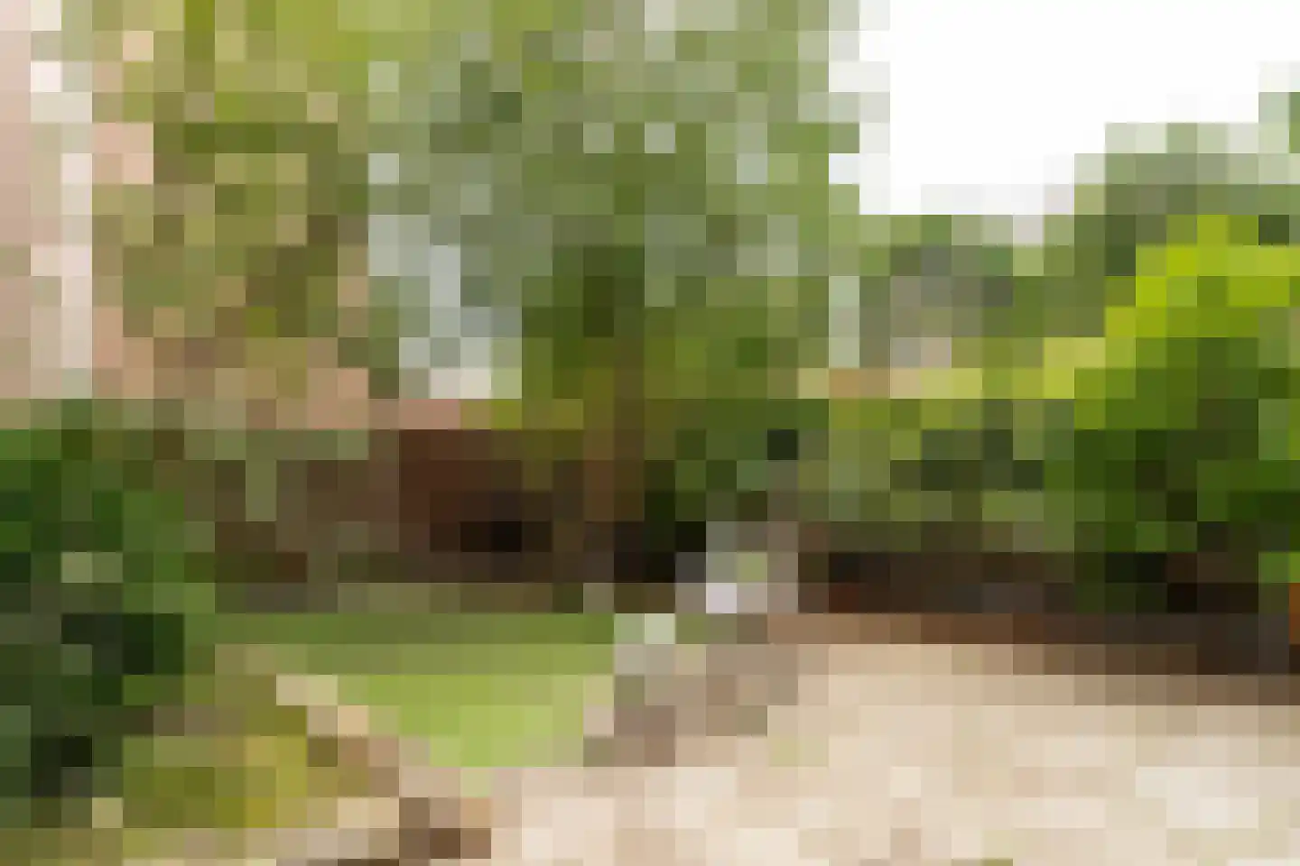 Zijlweg 18 Haarlem thumbnail 25