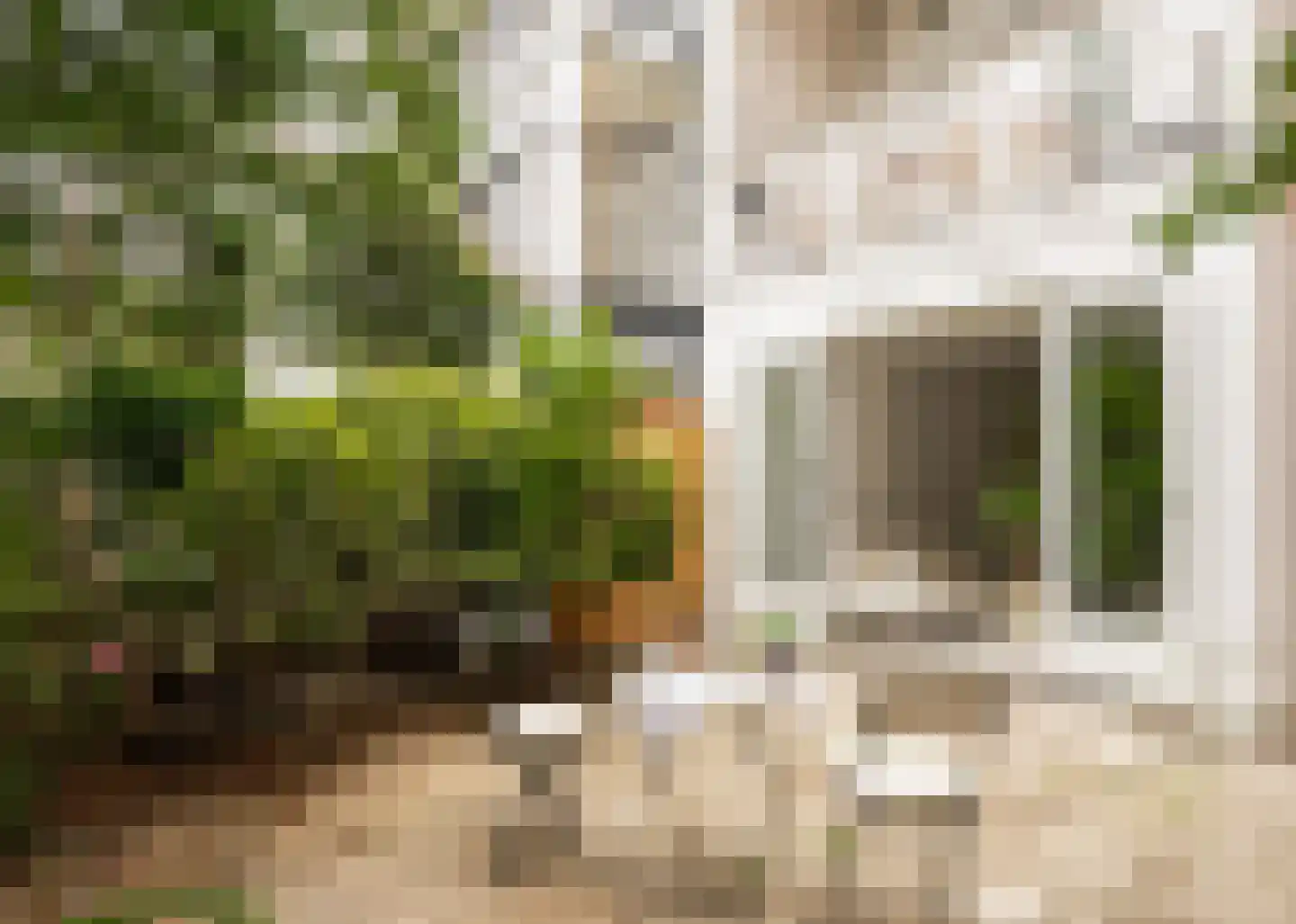 Zijlweg 18 Haarlem thumbnail 27