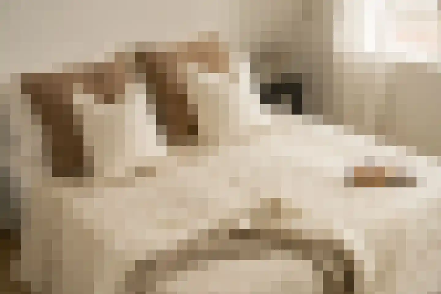 Zijlweg 18 Haarlem thumbnail 32