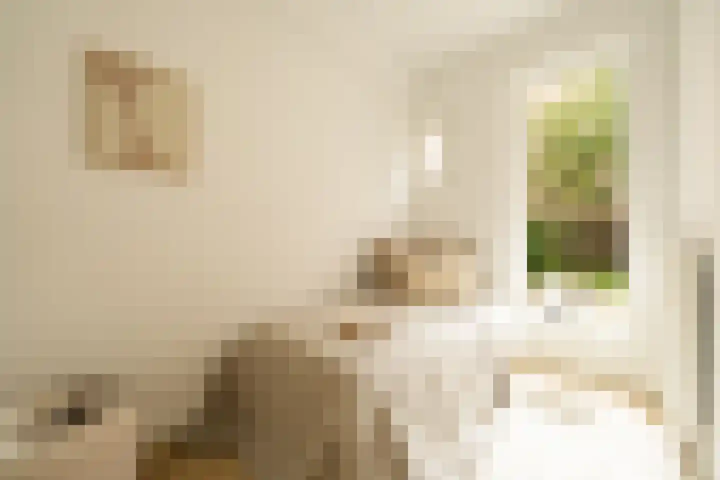 Zijlweg 18 Haarlem thumbnail 33