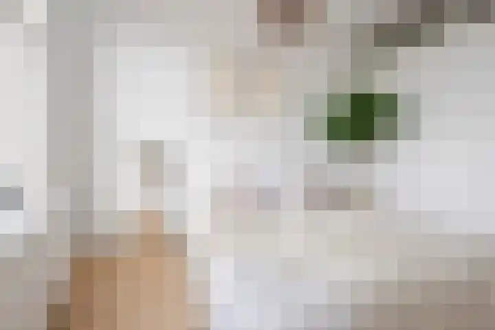 Zijlweg 20 Overveen thumbnail 14