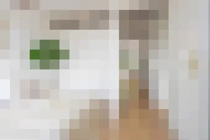 Zijlweg 20 Overveen thumbnail 15